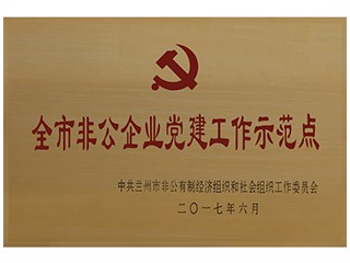 全市非公企業黨建工作示范點